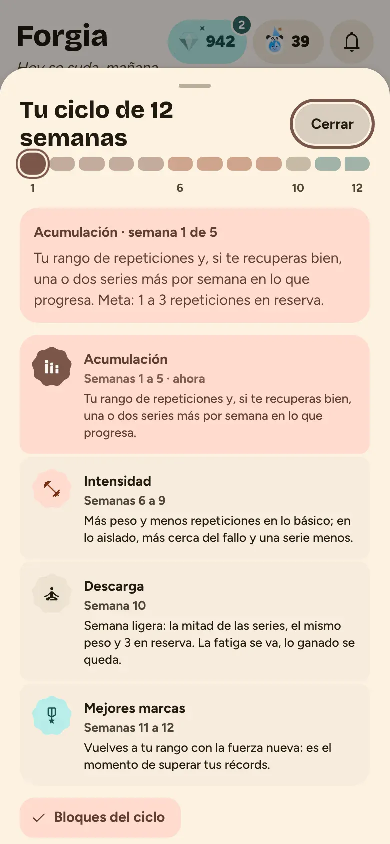 Tu ciclo de 12 semanas con sus fases