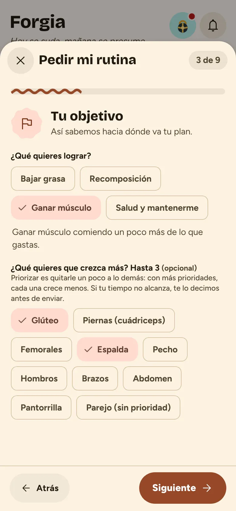 Cuestionario para pedir una rutina: objetivo y prioridades